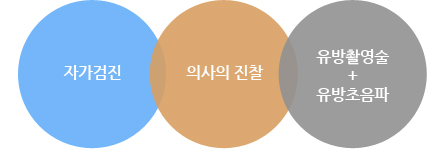 자기검진, 의사의 진찰, 유방을 눌러서 X-선 사진을 찍는 유방촬영술과 유방초음파검사